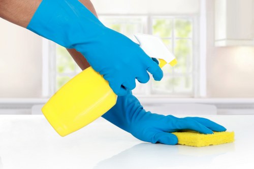 Clean and tidy living room used for domestic cleaning example