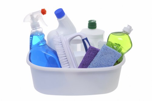 Household cleaning routine with products and organized supplies