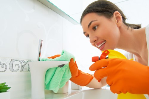 Monthly regular cleaning and deep cleaning tasks