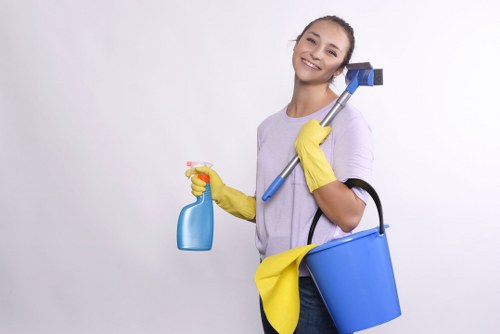 Organized house cleaning routine with supplies on a countertop
