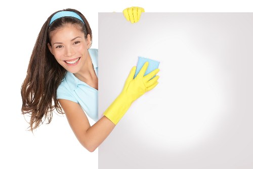 Professional domestic cleaning tools arranged for home care
